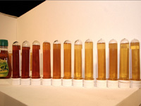 apiexpo2011_009