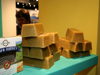 apiexpo2011_016
