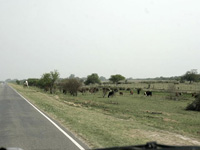 img2