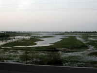 img1