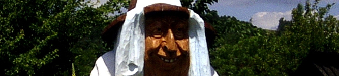 ib_bub_2007