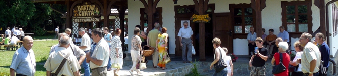 ib_bub_2008_1