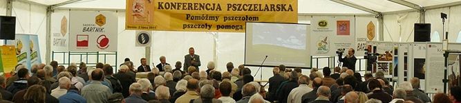 ib_bub_2011_1