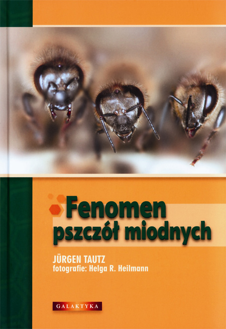 Fenomen pszczół miodnych