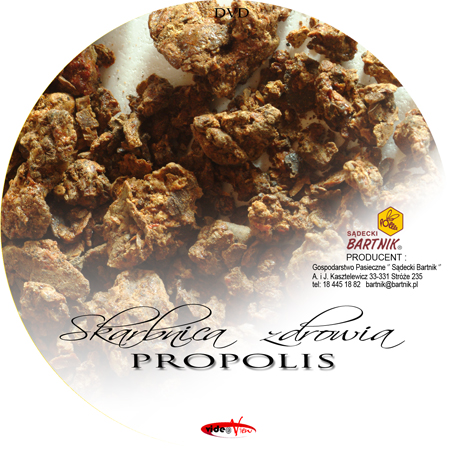 Skarbnica zdrowia – propolis