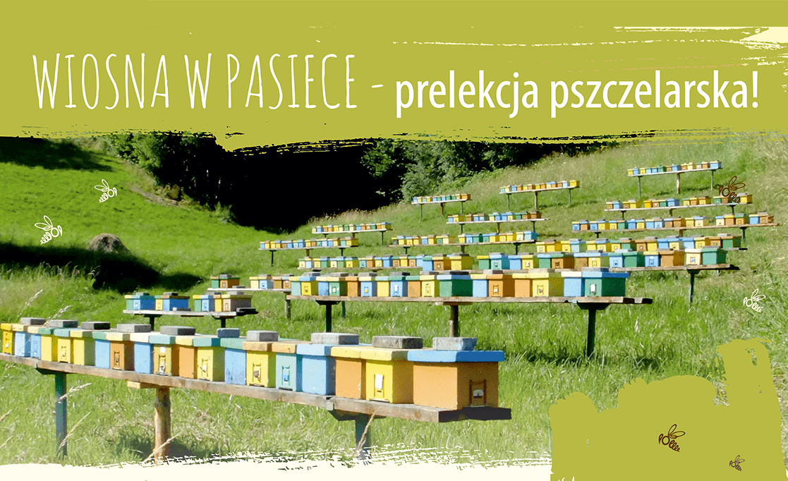 Wiosna w pasiece – Zapraszamy na prelekcję pszczelarską!