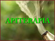 Apiterapia - Miód: Jego walory w diecie